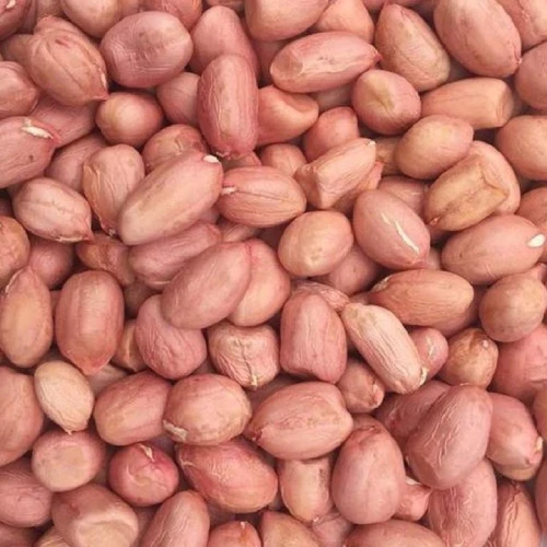 TJ37 Peanut Variety